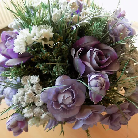 Haus Alexandra Appartement Schoneberg (Bad Kreuznach)