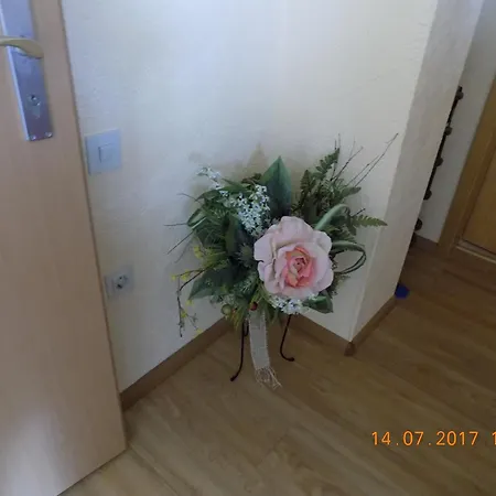 Haus Alexandra Apartment *