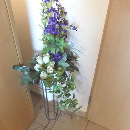 Haus Alexandra Schoneberg (Bad Kreuznach)