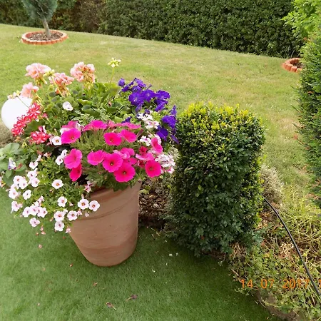 Haus Alexandra Appartement *