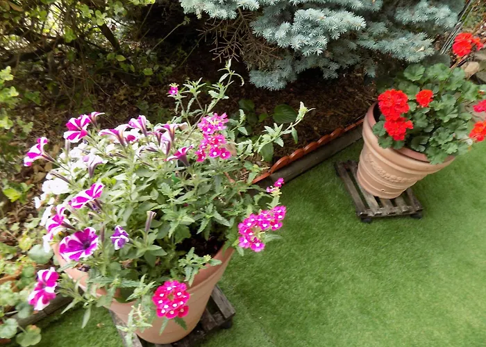 شقة Haus Alexandra