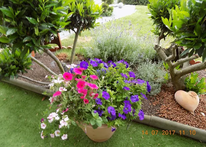 Haus Alexandra Апартаменты *